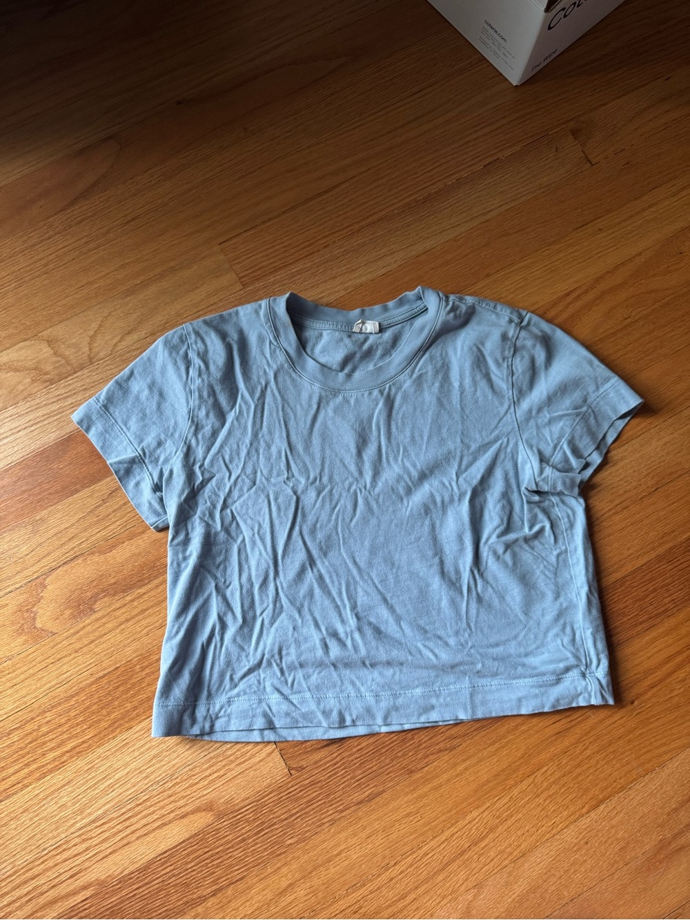 Aritzia Classic Light Blue Crewneck Women's Tee